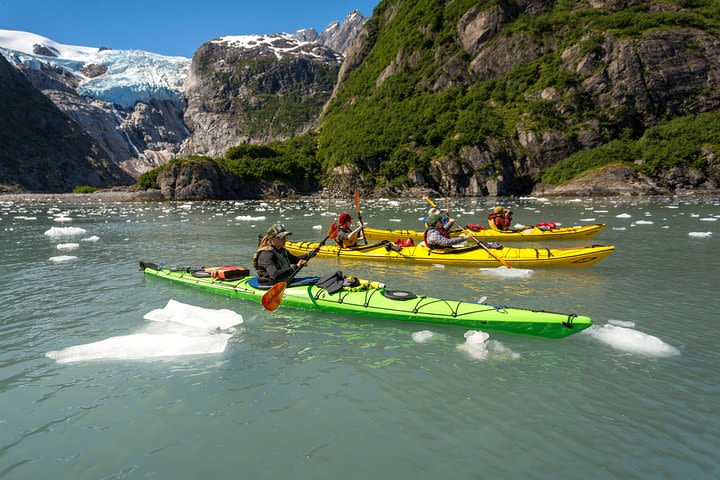 Kenai Fjords (Grand Day) Wildlife Cruise & Glacier Kayak Combo image