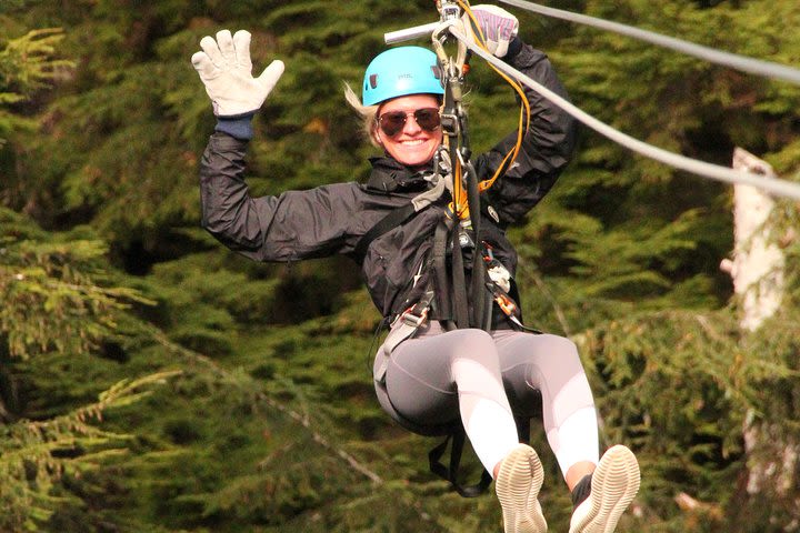 Rainforest Zip, Skybridge & Rappel Adventure in Ketchikan, AK image