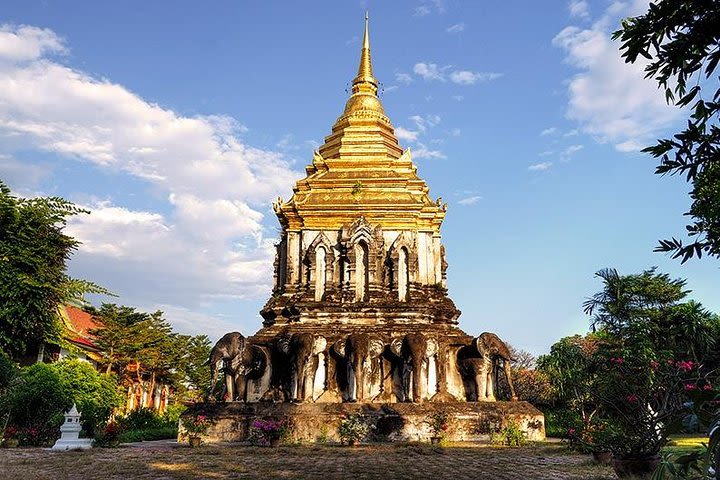 Half Day Old Town Chiang Mai Temple & City Private Tour (Minimum 2 Pax) image