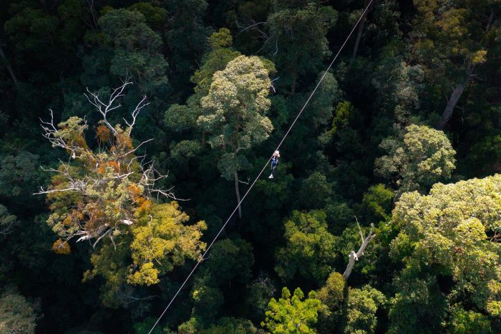 Gold Coast Canyon Flyer Zipline Tour image