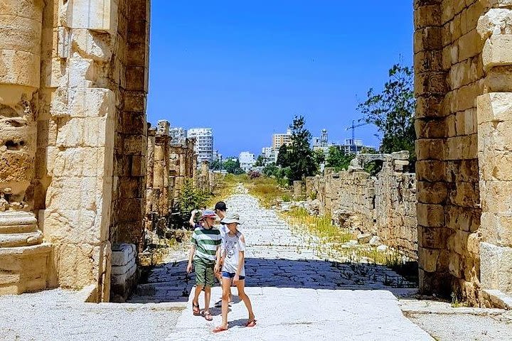 Small-Group Tour with Lunch to Sidon, Tyre & Maghdouche image