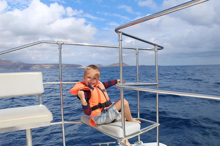 Whale and Dolphin Watching Cruising Catamaran, Free Meal & Transfers  image