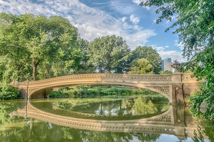 Classic 1.5-hour Central Park Pedicab Tour image