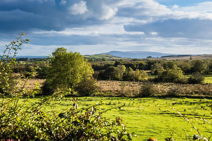 Seamus Heaney - A Private Journey Through the Poet's HomeGround image