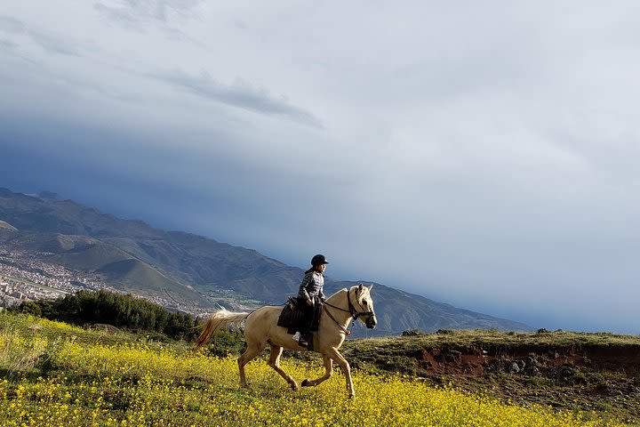 Half day Horseback Riding tour around Sacsayhuaman image