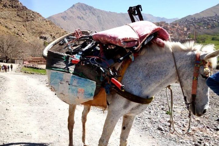 Technical single track + short walk in Atlas Mountains Day Tour from Marrakech image