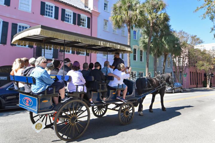 Private Daytime Horse-Drawn Carriage Tour of Charleston image