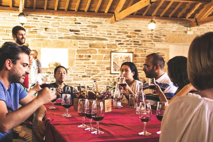 Douro Valley Historical Tour with Lunch, Winery Visit with Tastings and Panoramic Cruise image