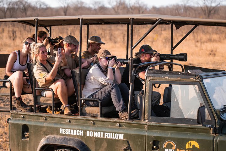 Wildlife Photography Project- Victoria Falls image