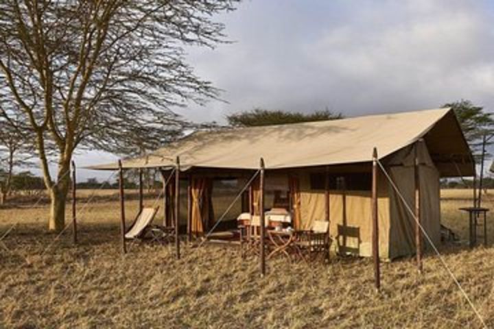 4 Day Adventure Lake Manyara , Serengeti & Ngorongoro  image