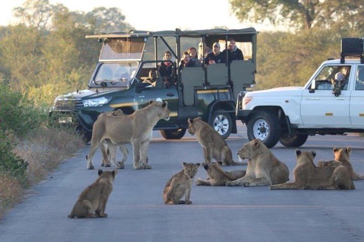 Private 3 Day Kruger Park Safari from Johannesburg image