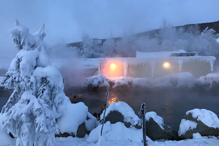 1-Day Chena Hot Springs and Ice Museum Tour from Fairbanks Included Admissions image