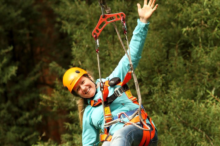 Illawarra Fly Treetop Adventures Admission Including Zipline Tour image