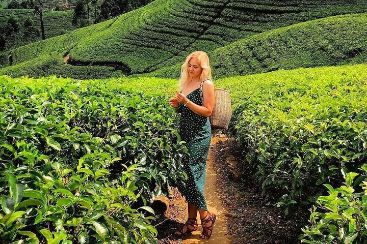 4-Day Essence of Sri Lanka Tour image