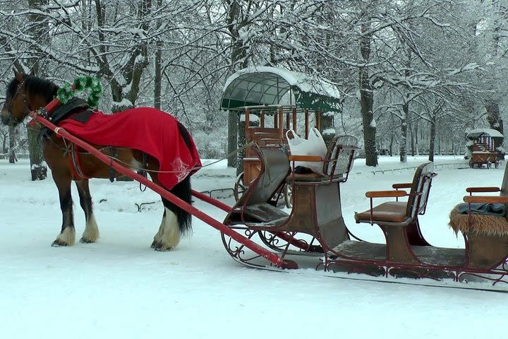 Pavlovsk with Russian Troika horse riding – winter tour image