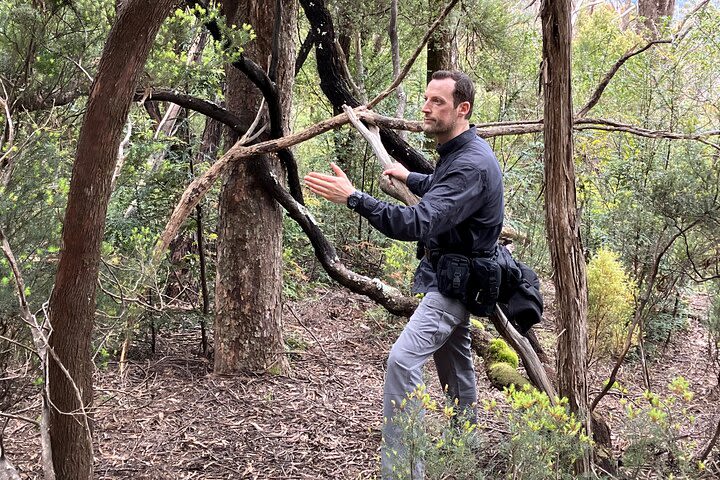 Survival Course & Basic Bushcraft Learning to Survive in the Wild image