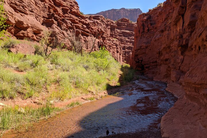 Moab's Best Kept Secret: Mini Narrows Cool Summer Hike* image