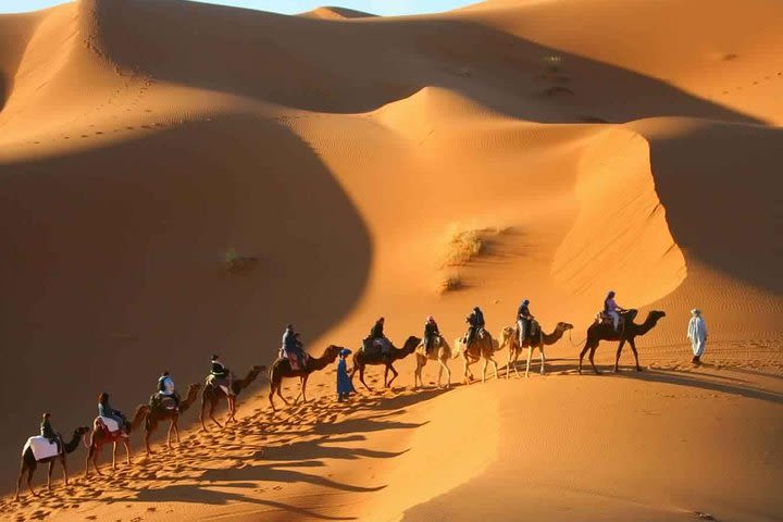 2 Day Desert Tour From Marrakech through the Atlas Mountains & Camel ride image