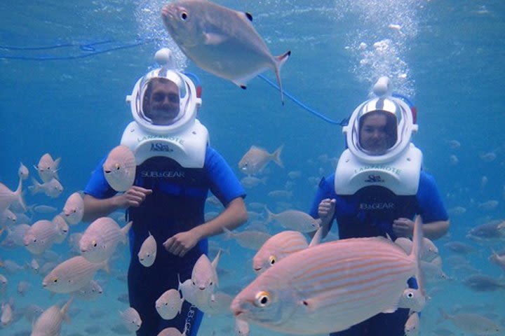 40-minute Lanzarote Sea Trek Diving Experience image