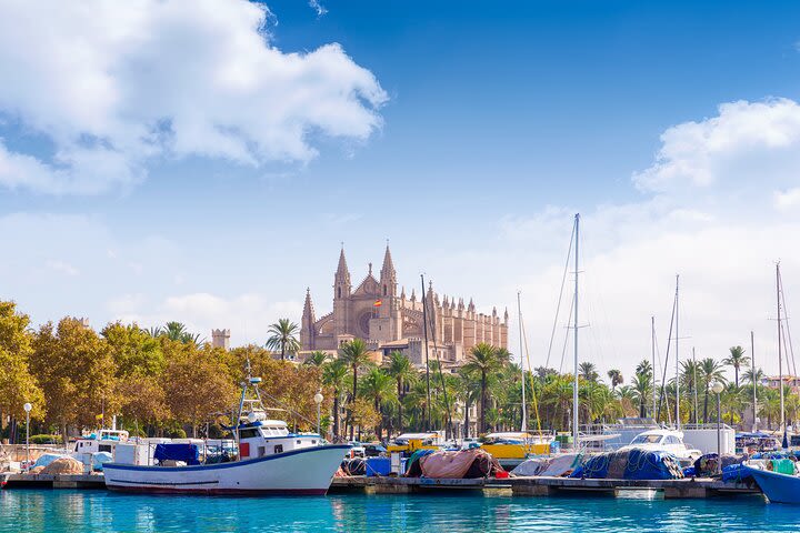 Palma de Mallorca Sightseeing Day Tour image