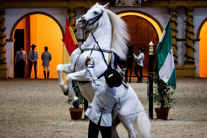 Full-day Jerez and Cadiz from Seville, with Horse Ballet and Sherry Tasting image