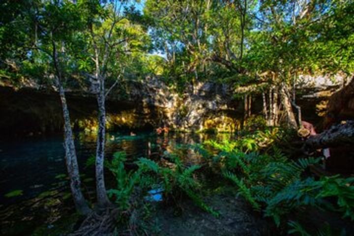 Small-Group Cenote Adventure Tour image