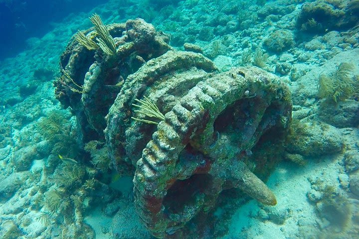 Half Day Scuba Diving Trip in the Florida Keys  image