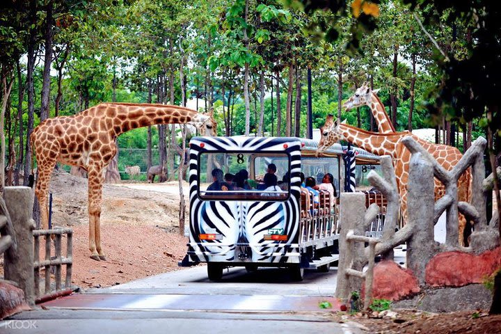 Chiang Mai Night Safari Tour including Transfer (Minimum 2 pax) image