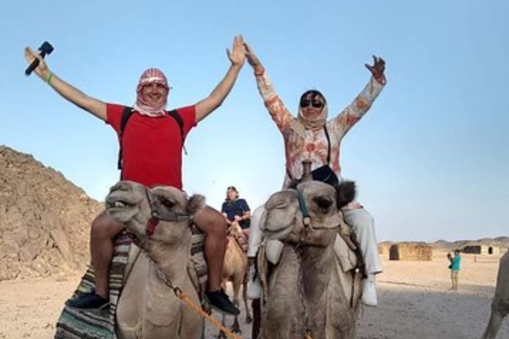 Full-Day Desert Safari Quad Bike and Dune Buggy from Hurghada image