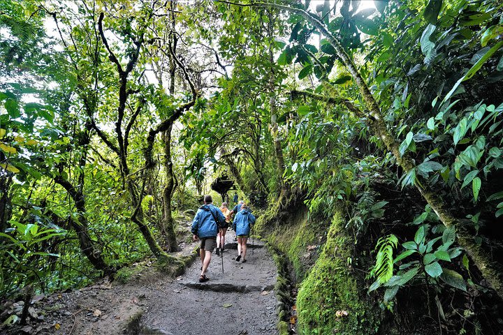 Private Day Tour to Mindo - Waterfalls & Hummingbirds image