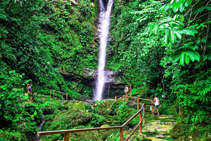 Ahuashiyacu Waterfall Half-Day Tour image