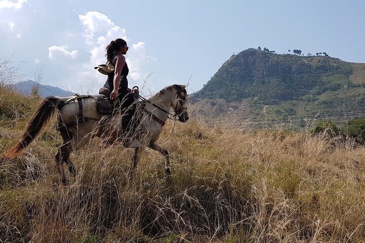 Private Horseback Riding Tour around Cattle Ranch from Medellin image