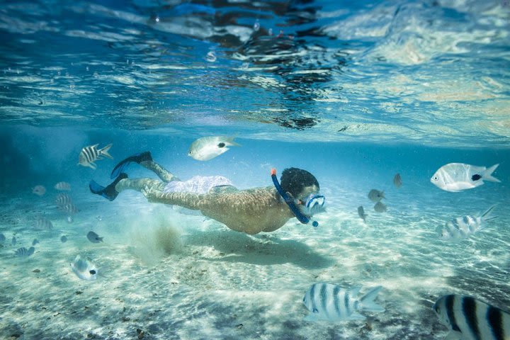 Punta Cana Booze Cruise with Snorkeling, Natural Pool and Unlimited Drinks image