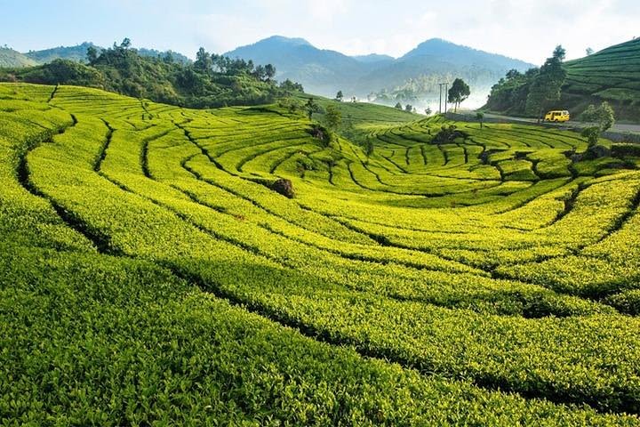 One Day Trip : Bogor Highland Waterfall Tour With Lunch image