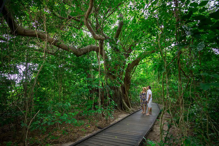 Green Island Eco Adventure from Cairns image