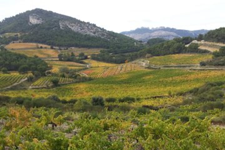 Provence Cru Wine Small-Group Half-Day Tour from Avignon image