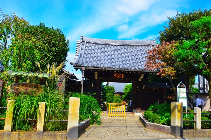 Old Town Tokyo Food Tour image