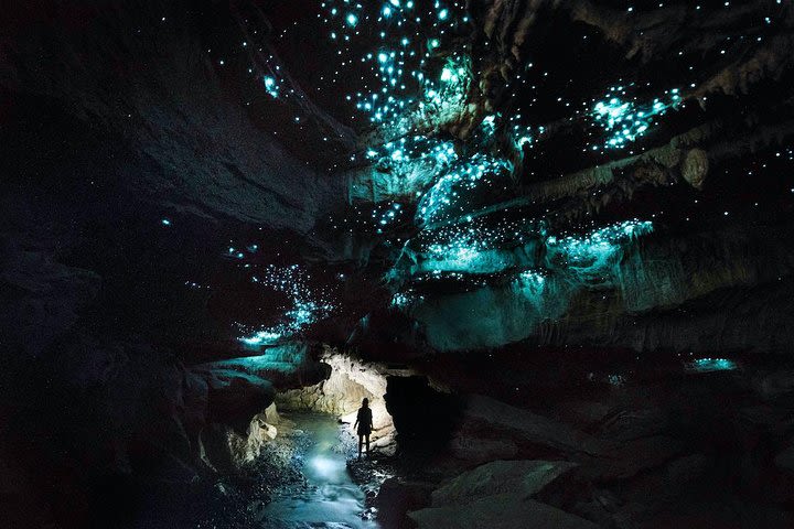 Off the Beaten Track - Glowworm Caving Adventure Tour in Waitomo image