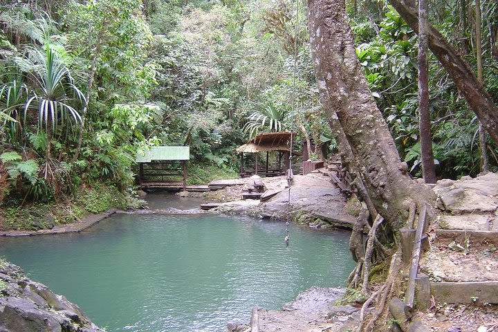 Colo-i-Suva Waterfall Tour (Suva) image