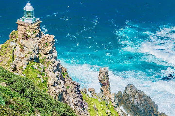 Cape Point and Boulder's Beach Penguins Full Day Tour image