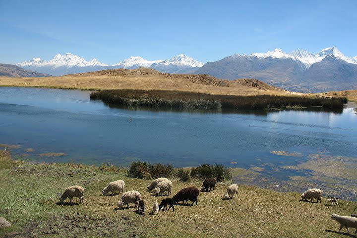 Full-Day Hike to Huilcaccoha Lake in the Cordillera Negra from Huaraz, Peru image