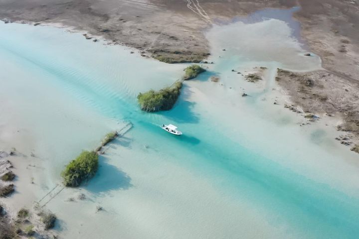 Bacalar Eco-Boat Tour & Cenote Visit image
