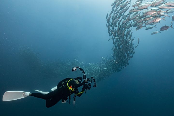 Similan Islands Scuba Diving Adventure image