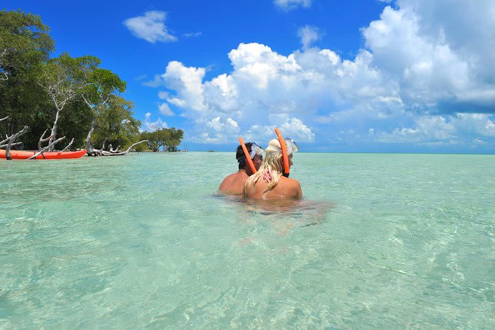 Island Adventure Snorkel Kayak and Tour from Key West image