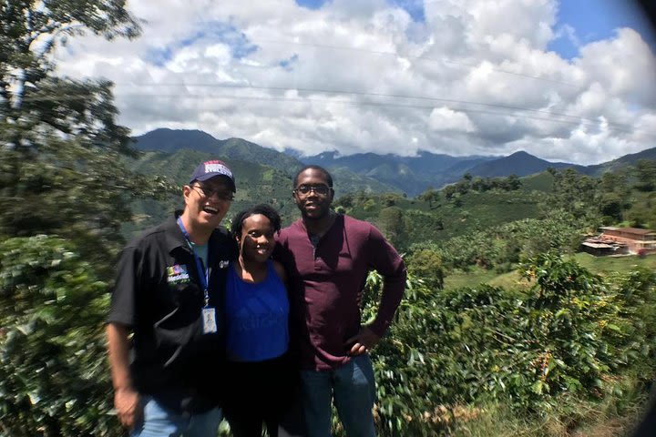 Jardin Day Trip: Colombian Coffee Tour from Medellin image