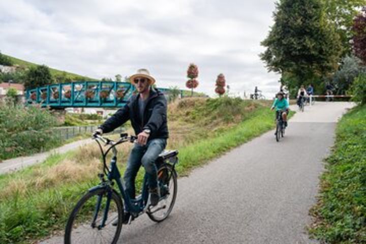 Reims: Champagne Day Trip with E-Bike including Family-run Winery and Lunch  image