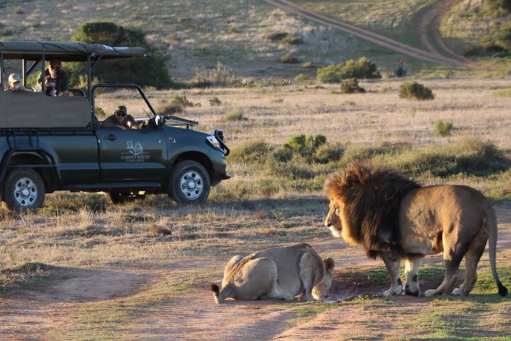 Private Garden Route Tour and Big Five Safari - 2 days image