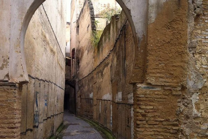 Fez Tours Ramparts, Gardens, Panoramic view Half Day Tour image