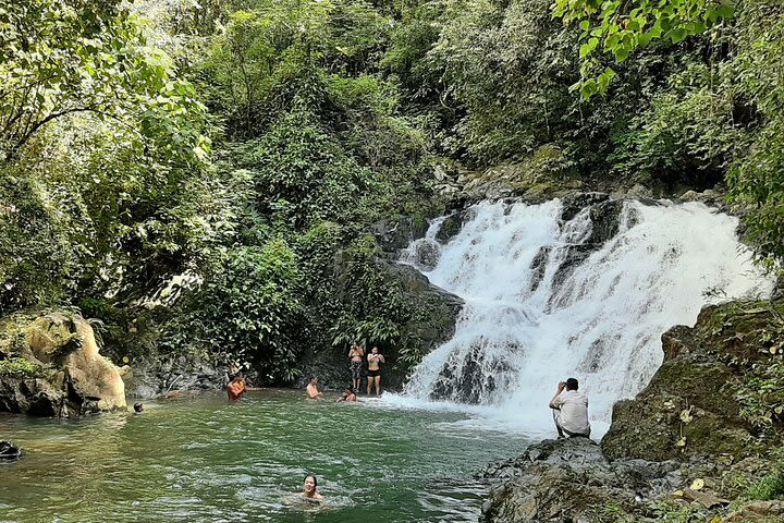 Tour at the Chagres Rainforest and Embera Indigenous Village image