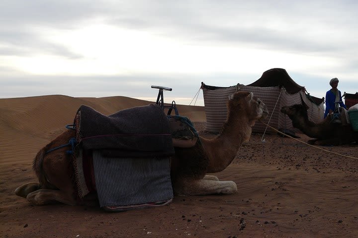 Two Day Desert Safari to Zagora from Marrakech including Camel Ride image